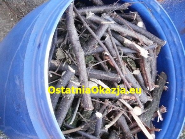 Drewno , Kominkowe Opałowe Orzech Włoski  i Laskowy - Image 11