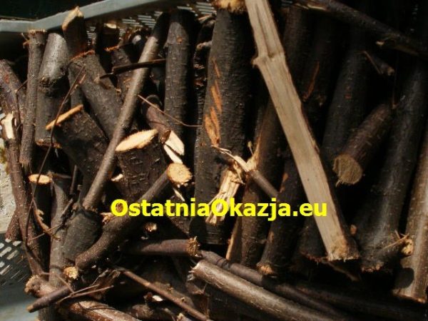 Drewno , Kominkowe Opałowe Orzech Włoski  i Laskowy - Image 17